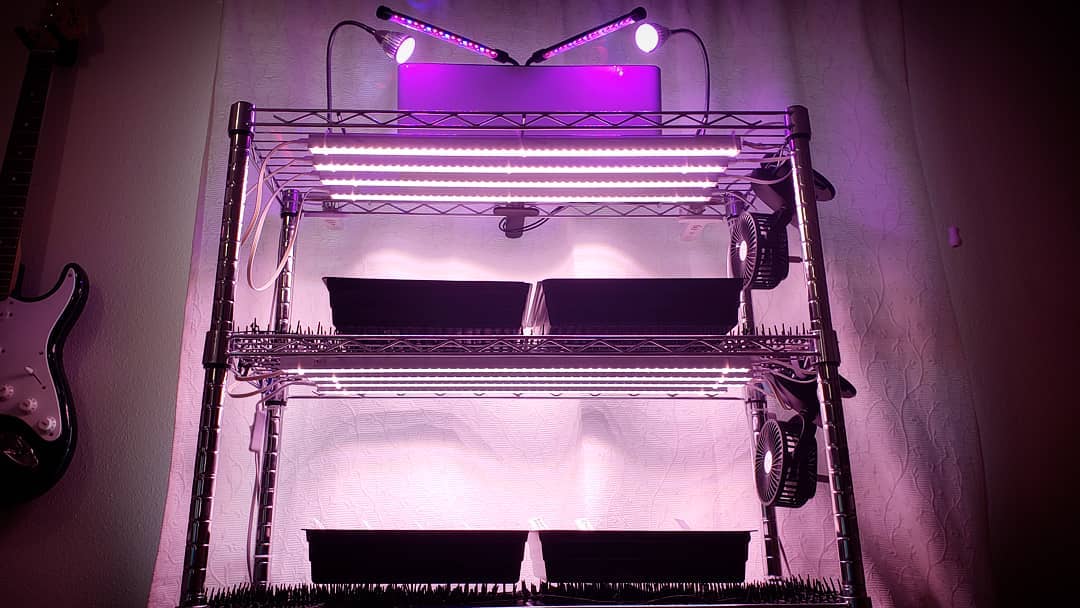 The basic indoor garden grow station